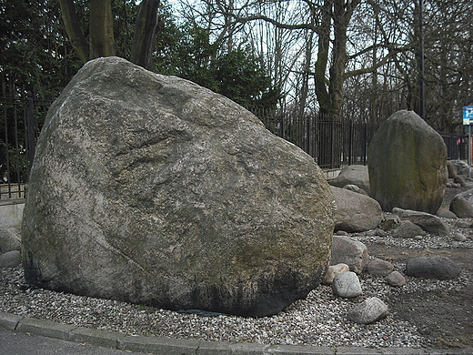 Warszawa. Gazy narzutowe przed Muzeum Ziemi.