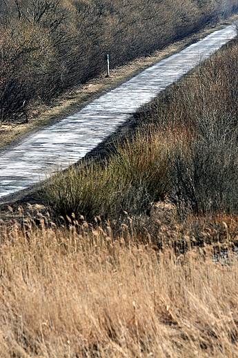 Carska Droga. Widok z platformy widokowej na skraju Bagna awki