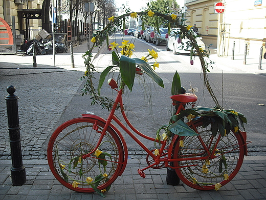 Warszawa. Kwiatowy rower przy ul. Foksal.