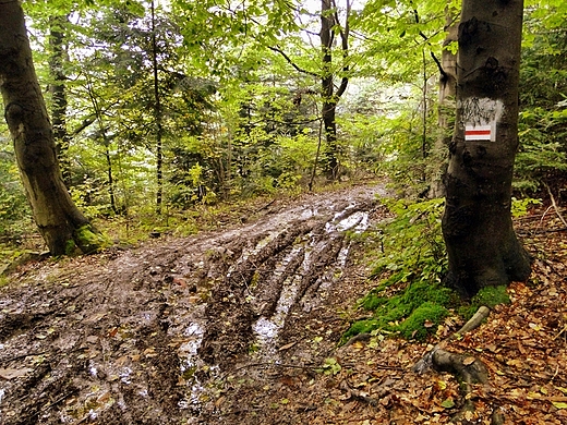 Jeleniowski Park Krajobrazowy