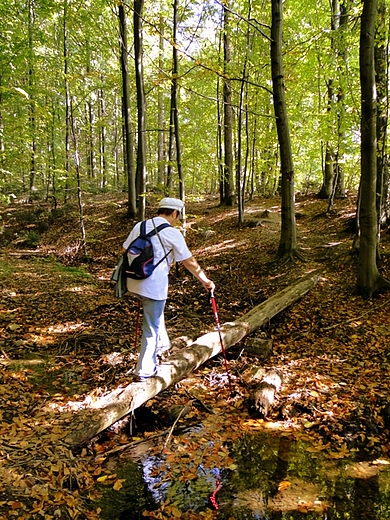 witokrzyski Park Narodowy