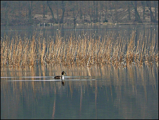 Okolice wsi Rzesznikowo.