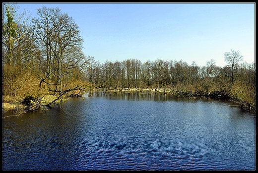 starorzecze bugu w hniszowie