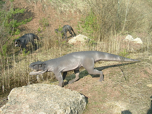 Pny Trias - Polonozuch .Krasiejw