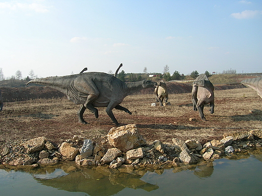 Pna jura - Atlaskoptozaur. Dinopark w Krasiejowie