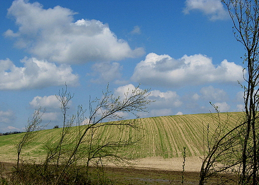 Dolina Poni okolice Barlonak