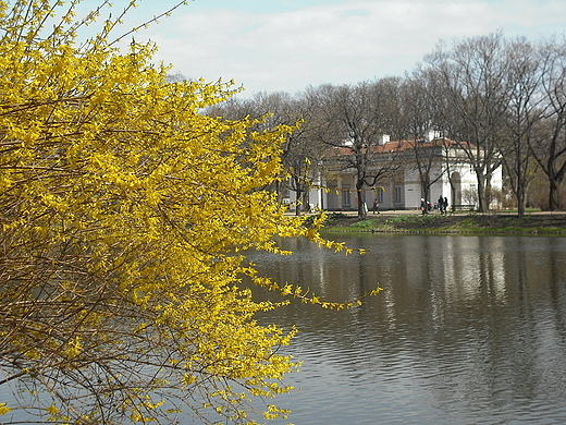 Warszawa. Wiosna w azienkach Krlewskich.