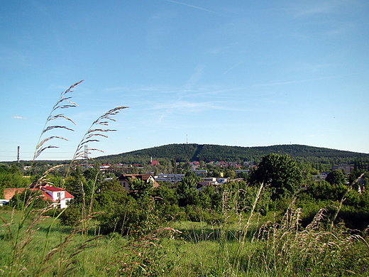 Kielce - Gra Telegraf