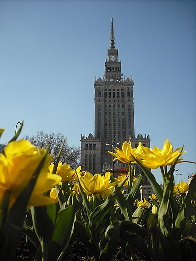 Warszawa. W jakim kolorze lepiej wygldam? W tym?