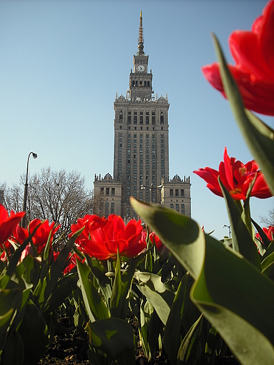 Warszawa. W jakim kolorze lepiej wygldam? W czerwonym?