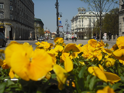 Warszawa. Spacerem po Krakowskim Przedmieciu.