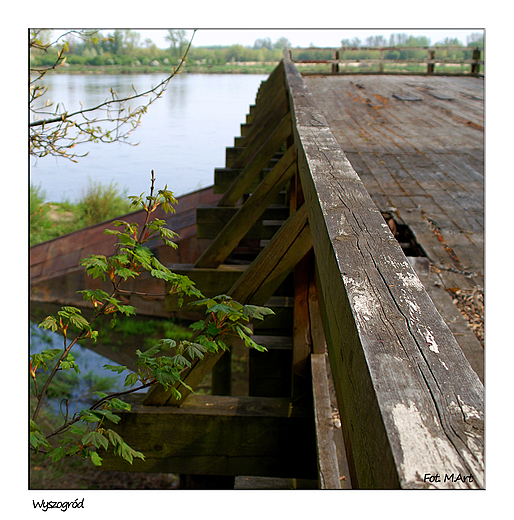 Wyszogrd - ruina drewnianego mostu na Wile, najduszego w Europie
