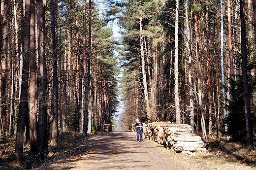 W Sieradowickim Parku Krajobrazowym