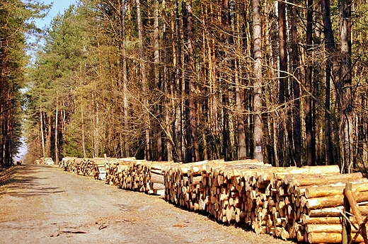 W Sieradowickim Parku Krajobrazowym