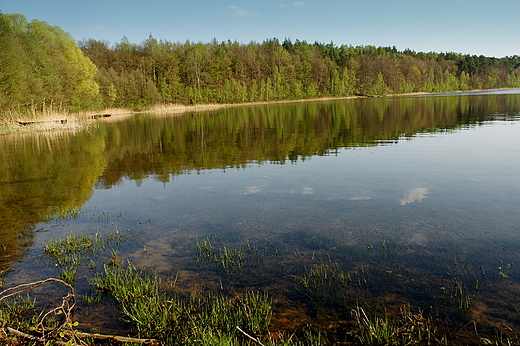 okolice Barlinka - Jezioro Okno