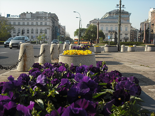 Warszawa. Widok z Placu Trzech Krzyy w kierunku Alej Ujazdowskich.