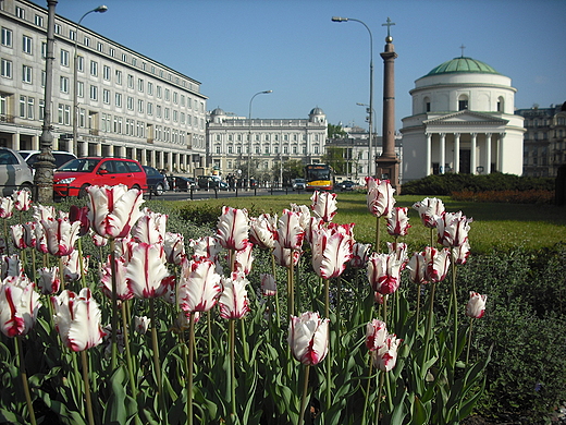 Warszawa. Plac Trzech Krzyy.