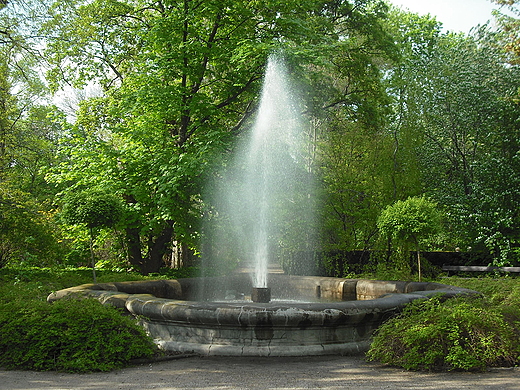 Warszawa. W Ogrodzie Botanicznym.