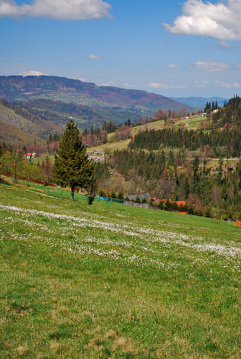 Beskid lski.