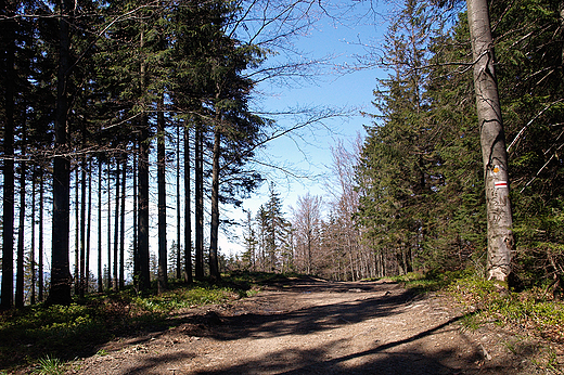 Beskid lski.