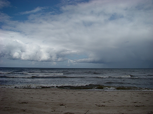 Morze. Kunica czerwiec 2009