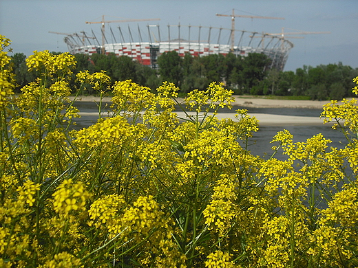 Warszawa. Nad Wis.