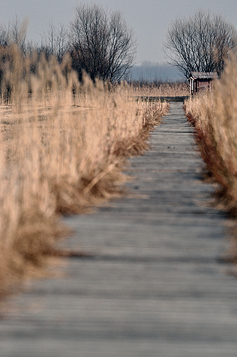 cieka przyrodnicza Duga Luka