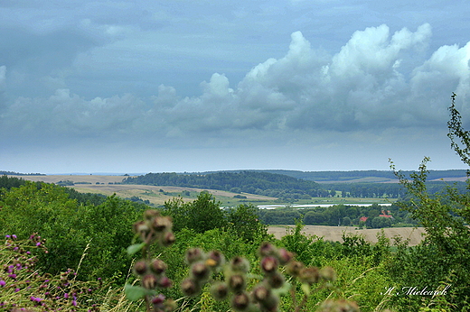 Dolina Poni okolice Barlinka