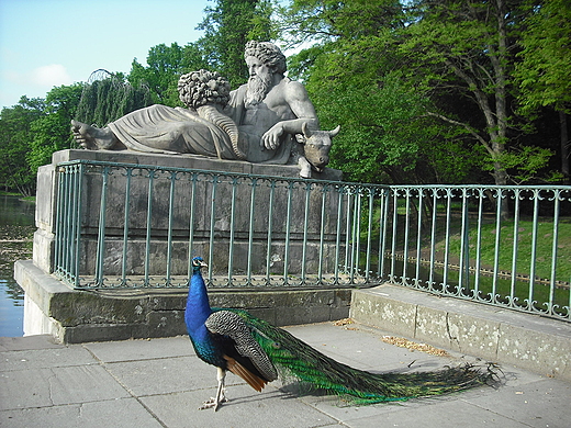 Warszawa. azienki o poranku.