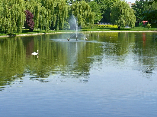 Kielce. Park Miejski.