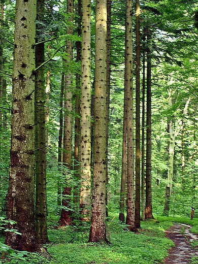 Roztoczaski Park Narodowy