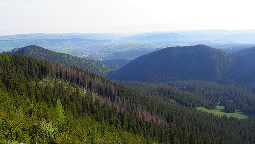 Widok na Podhale ze szlaku przez Bocza