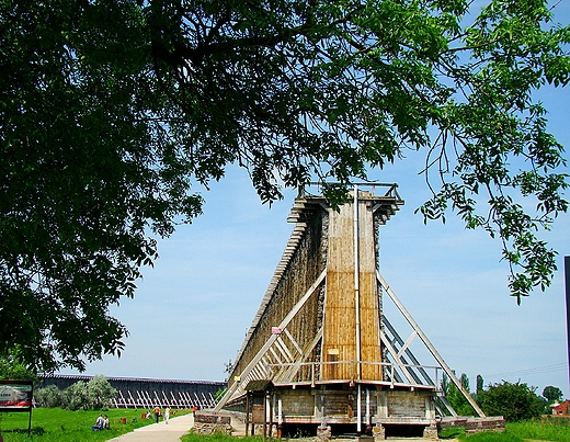 Tnia w Ciechocinku.