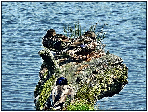 Ekopark Wschodni w Koobrzegu.