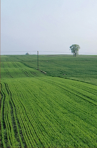 Na trasie z Borw Tucholskich...