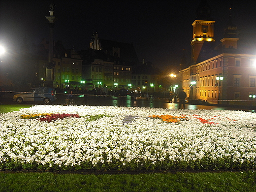 Warszawa. Kwiatowe logo polskiej prezydencji w UE na ul. Krakowskie Przedmiecie.