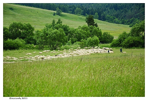 Gdzie w Bieszczadach