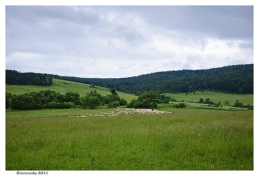 Gdzie w Bieszczadach