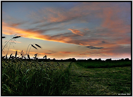 polny pejza o zachodzie