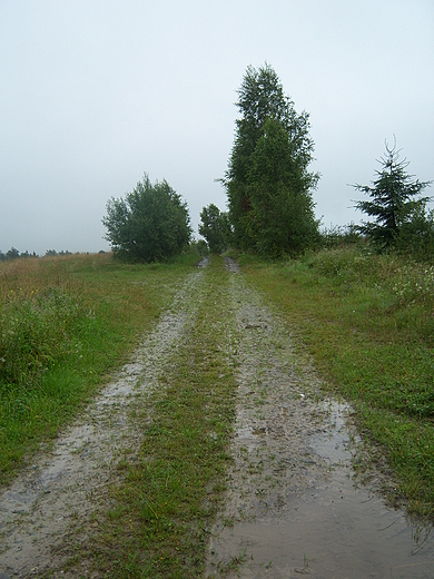 Bieszczady-droga do szczcia