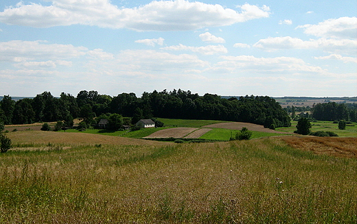 Widok w kierunku parku paacowego