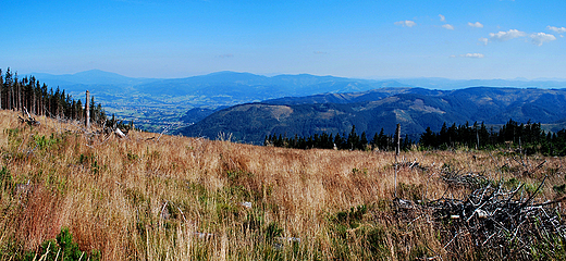 Panorama Beskidu ywieckiego ogldana z Maego Skrzycznego-1211mnpm