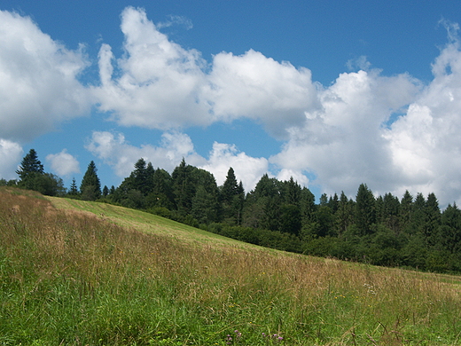 Czarna Dolna-Sokoowa Wola