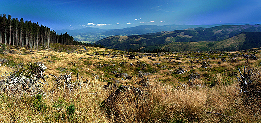 widok na Beskid ywiecki z kopuy Skrzycznego.