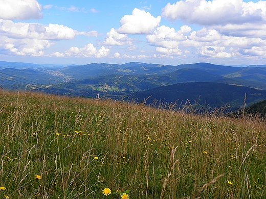 Widok z Hali Miziowej na Beskidy