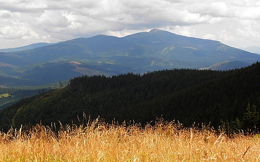 Widok z Hali Miziowej na Babi Gr