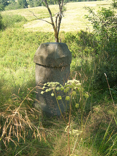 Cmentarzysko w Sokoowej Woli