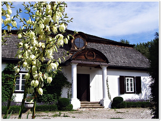 STARY DWOREK Z YRZYNA W MUZEUM WSI LUBELSKIEJ