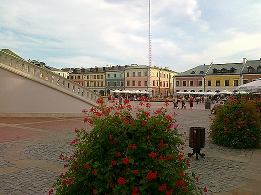 Rynek