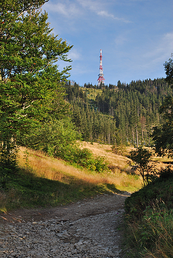 Skrzyczne-1257m npm.